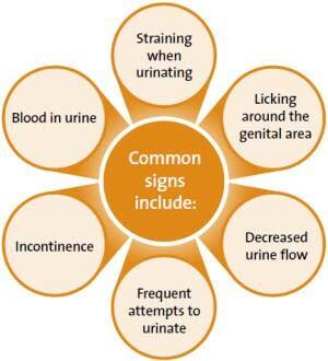Common signs