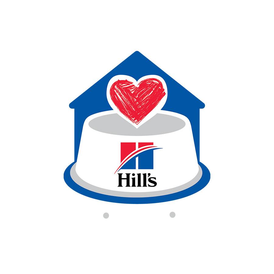 fsl logo  white letters