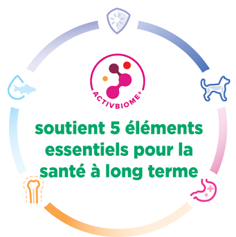 Infographie des 5 éléments constitutifs essentiels à la santé des chiots
