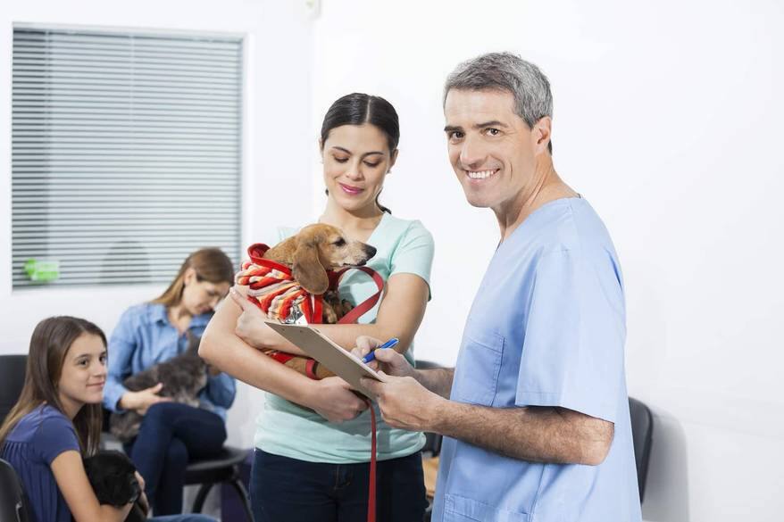 Male nurse in blue scrubs writes on clipboard while woman holds dachshund in waiting room.