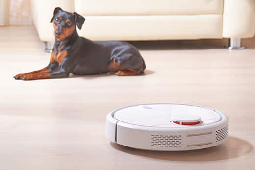 dog-laying-near-and-looking-at-robot-vacuum-SW Dog lays on ground while robot vacuum sits in foreground.