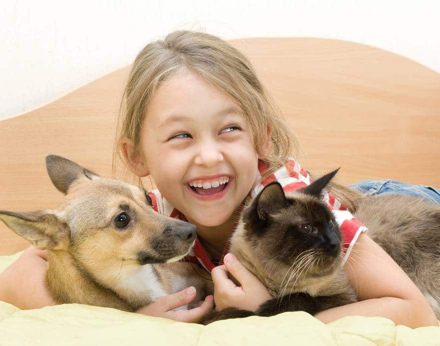 little girl with a dog and a cat on a bed of yellow color