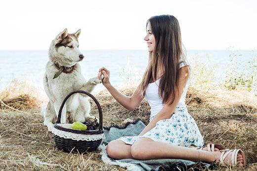 Young woman holding Red Siberian husky