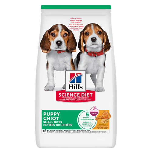 petites bouchées pour chiots, recette avec poulet et riz brun Visuel